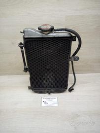 RAIATORE SUZUKI BURGMAN 650 2003 2007