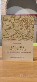 La Curia Dei Cavalli Il Primo Centro Abitato Nel M