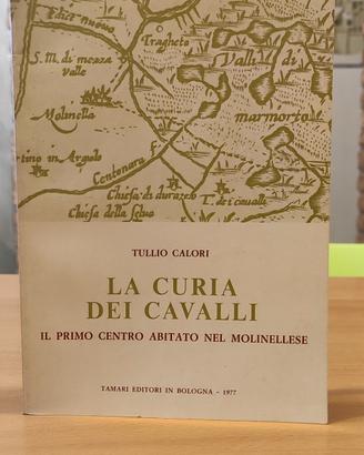 La Curia Dei Cavalli Il Primo Centro Abitato Nel M