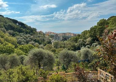 Terreno Agricolo/Boschivo