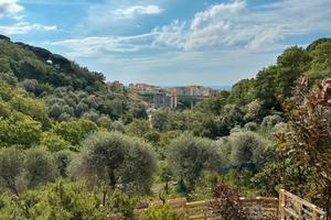 Terreno Agricolo/Boschivo