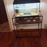 Aquarium  con 3 pesci