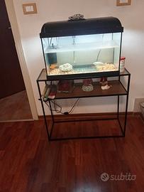 Aquarium  con 3 pesci