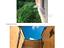 Immagine 19