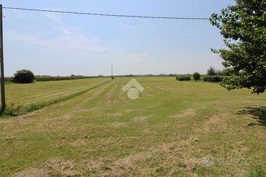 TER. AGRICOLO A CAORLE