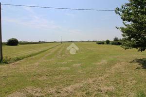 TER. AGRICOLO A CAORLE