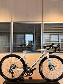 Merida scultura team 2024