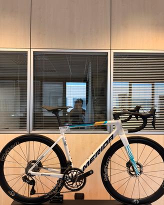 Merida scultura team 2024