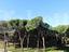 Immagine 17