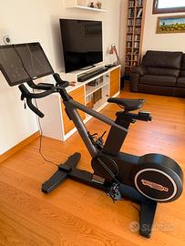 Technogym Ride