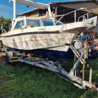 Pilotina semi cabinata 6 mt