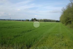 TER. AGRICOLO A URGNANO