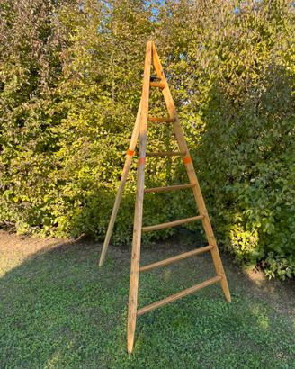 Scala agricola in legno originale