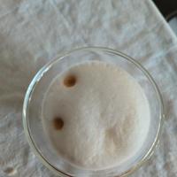 delonghi magnifica evo 