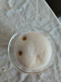 delonghi magnifica evo 