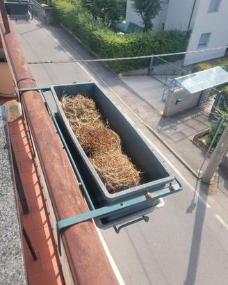 3 fioriere da balcone con supporti in metallo