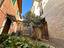 Immagine 14