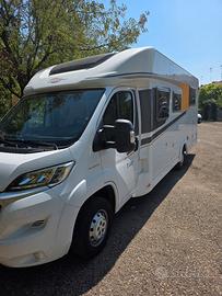 carado t 445