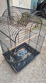 Gabbia Uccelli 