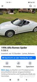 Alfa Romeo spider 