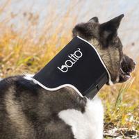 Collare ortopedico anti leccamento