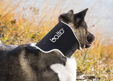 Collare ortopedico anti leccamento