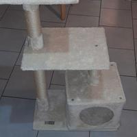 Graffiera per gatto