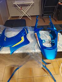 carene Suzuki gsx r1000 racing cupolino e codone