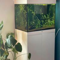 Acquario Juwell Lido 200