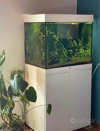 Acquario Juwell Lido 200