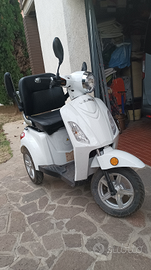 Scooter elettrico 3 ruote