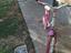 Immagine 3