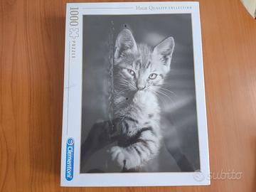 Clementoni 1000 Pezzi (Nuovo)