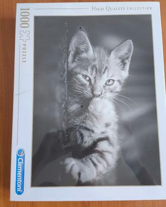 Clementoni 1000 Pezzi (Nuovo)