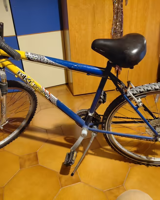 mountain bike