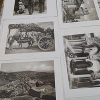 N.20 foto artistiche " Fratelli Alinari"