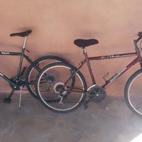 MOUNTAIN BIKES N.2
