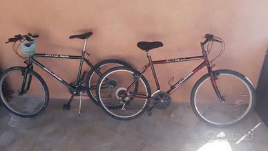MOUNTAIN BIKES N.2