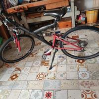 bici MTB 26