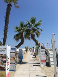 Casa lido di spina Settembre