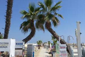 Casa lido di spina Settembre