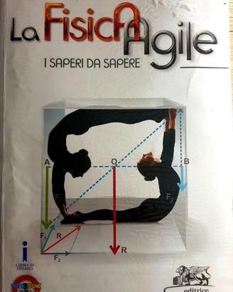 La fisica agile  i saperi da sapere Ilario Amnoni