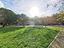 Immagine 19