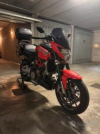 Aprilia Shiver 750 - PERFETTA -