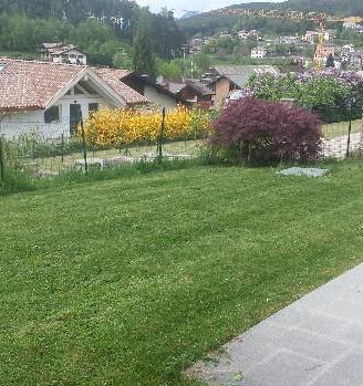 Trentino: appartamento giardino - lago - piste sci