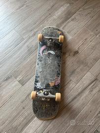Skate board