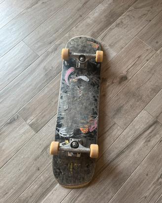 Skate board