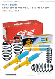 Ammortizzatori Sospensioni e molle Bilstein B12