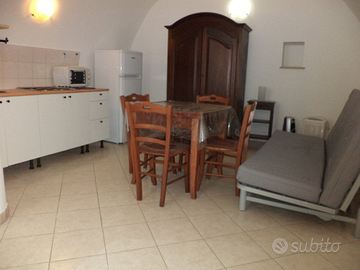 Monolocale Arredato e Ristrutturato