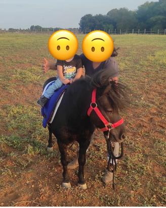 3 pony in blocco
